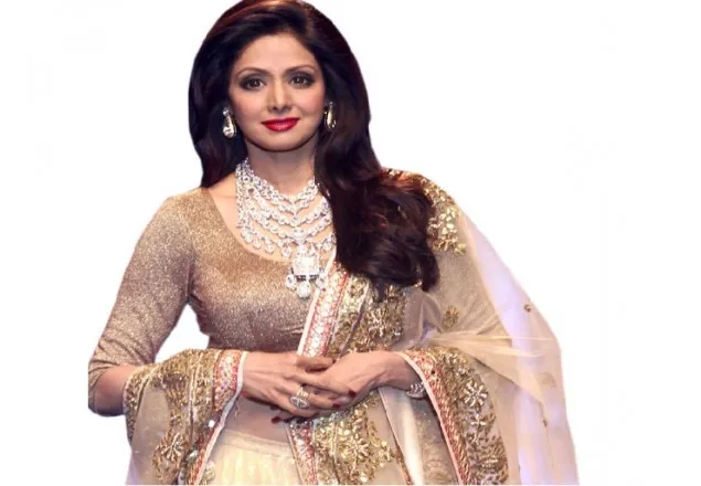 শ্রীদেবীর মৃত্যু, শোকের এক বছর