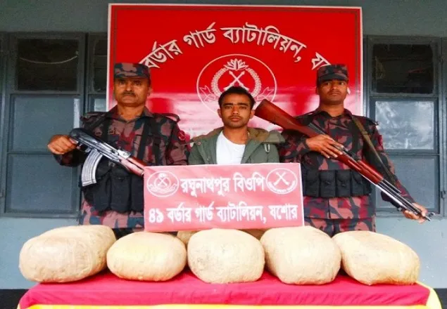 বেনাপোল রঘুনাথপুর বিজিবির অভিযান ১২ কেজি গাঁজাসহ আটক ১