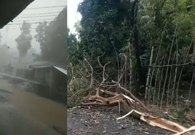 সাতক্ষীরা-বাগেরহাটে শিলাবৃষ্টিতে নিহত ১, ব্যাপক ক্ষয়ক্ষতি