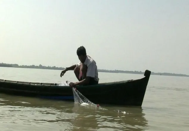 পদ্মা-মেঘনায় দুই মাস ইলিশ ধরা বন্ধ