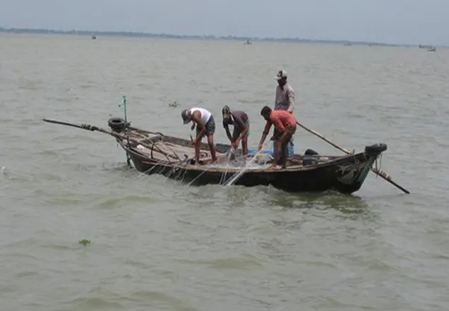 নিষেধাজ্ঞা অমান্য করে ইলিশ ধরায় ভোলায় ৯ জেলের জরিমানা