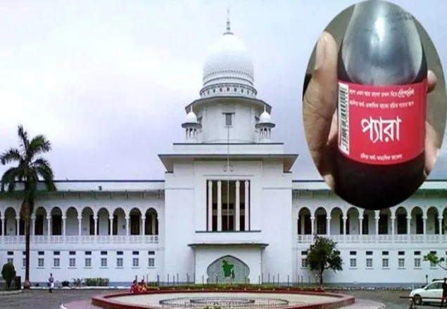 জীবনেও ‘প্যারা’ শব্দ শুনিনি, এ কেমন শব্দ: বিচারপতি