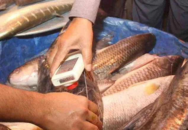 মাছে ফরমালিন মেশালেই ৫ লাখ টাকা জরিমানা