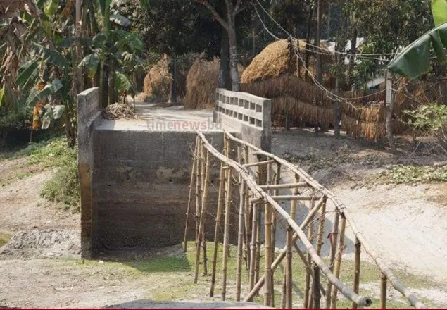 ব্রিজ আছে, সড়ক নেই!