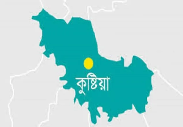 কুষ্টিয়ায় দুর্বৃত্তদের ছুরিকাঘাতে দর্জি নিহত