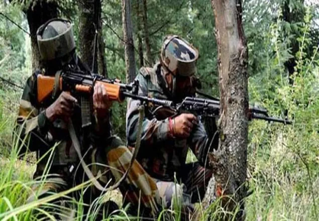 সীমান্তে পাকিস্তানের হামলায় ৭ ভারতীয় সেনা নিহত