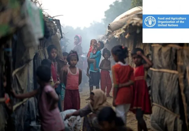 রোহিঙ্গাদের কারণে খাদ্য নিরপত্তাহীনতায় বাংলাদেশ: এফএও