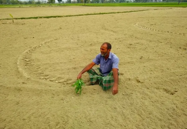পুরো ভুট্টা ক্ষেত নষ্ট করে দিলো ভূমি দস্যুরা