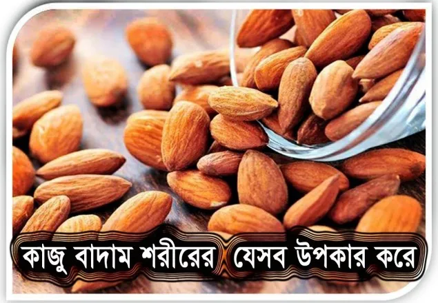 চুলের স্বাস্থ্য ভাল রাখতে নিয়মিত ৪টা করে কাজুবাদাম খান!