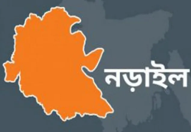 কালিয়ায় তিন ছাত্রলীগ নেতাকে কুপিয়ে হত্যার চেষ্টা