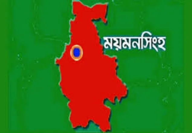 ময়মনসিংহে সড়ক দুর্ঘটনায় নিহত ৪