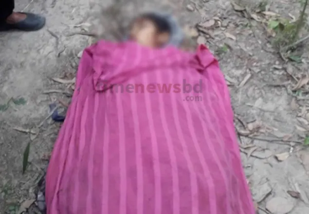 রাণীনগরে ট্রাক্টরের ধাক্কায় স্কুল ছাত্রী নিহত