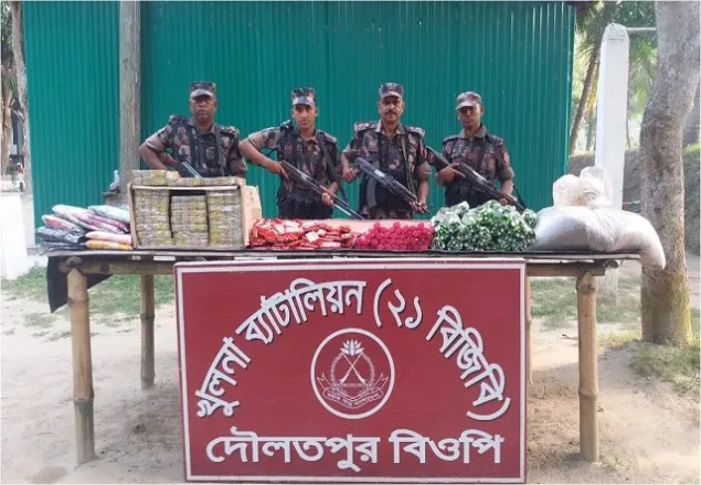 শার্শায় অভিযানে ইয়াবা ও ফেন্সিডিল উদ্ধার, আটক ১