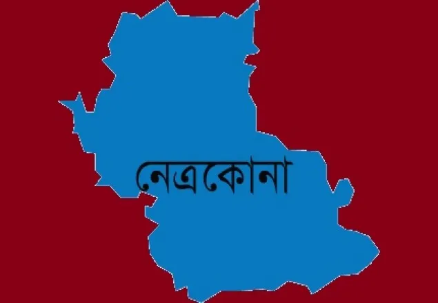 হাঁসের বাচ্চা ধরতে গিয়ে একেএকে ৩ শিশুর মৃত্যু