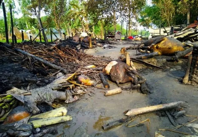 কয়েলের আগুনে পুড়ে ছাই ৪ কৃষকের বসতঘর