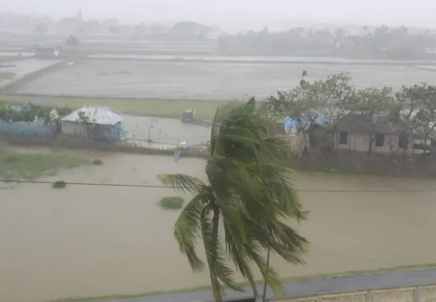 বরগুনায় ঘরচাপায় দাদি-নাতির মৃত্যু