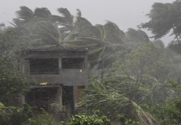 ঘূর্ণিঝড় ফণী'র প্রভাবে সারাদেশে নিহত ১৪