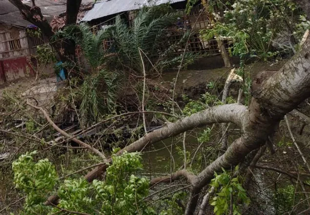 ভোলায় অর্ধশতাধিক ঘরবাড়ি বিধ্বস্ত
