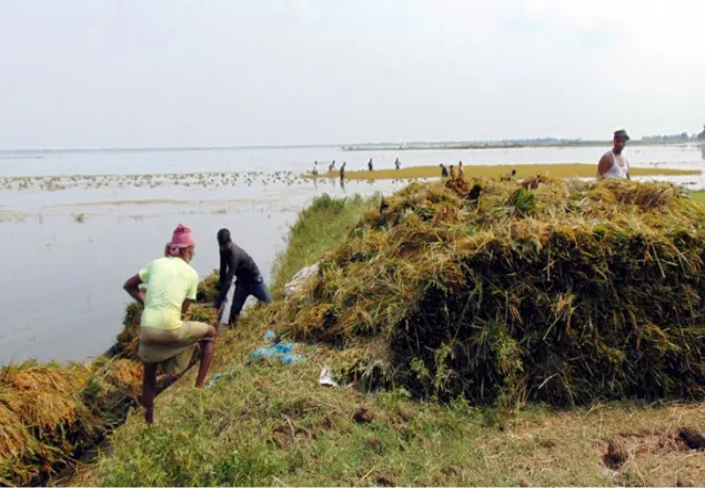 ক্ষতিগ্রস্তদের আর্তি- ‘ত্রাণ চাই না, বাঁধ চাই’