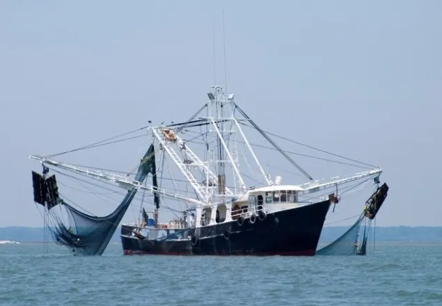 ২০ মে থেকে বঙ্গোপসাগরে মাছ ধরা নিষিদ্ধ