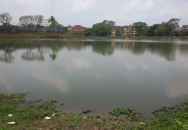 ‘ভয়ানক পুকুর’ 