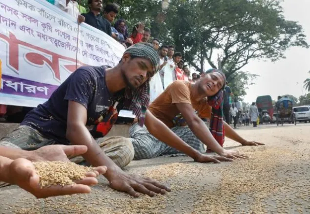 রাজধানীতে ধান ছিটিয়ে কৃষকদের প্রতিবাদ