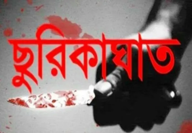 সুবর্ণচর ছোট ভাইয়ের ছুরিকাঘাতে বড় ভাই খুন