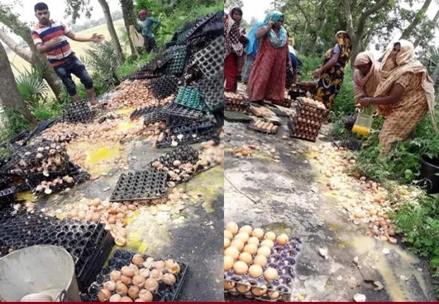 ঘুষ না দেয়ায় ৩ লাখ টাকার ডিম ফেলে দিল পুলিশ 