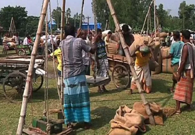 অর্ধেক দামেও বিক্রি হচ্ছে না ধান