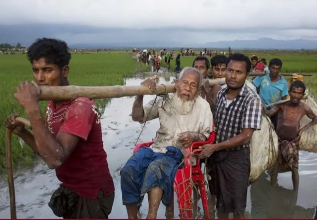 মালয়েশিয়াগামী ৮৪ রোহিঙ্গা ও পাঁচ পাচারকারী আটক 