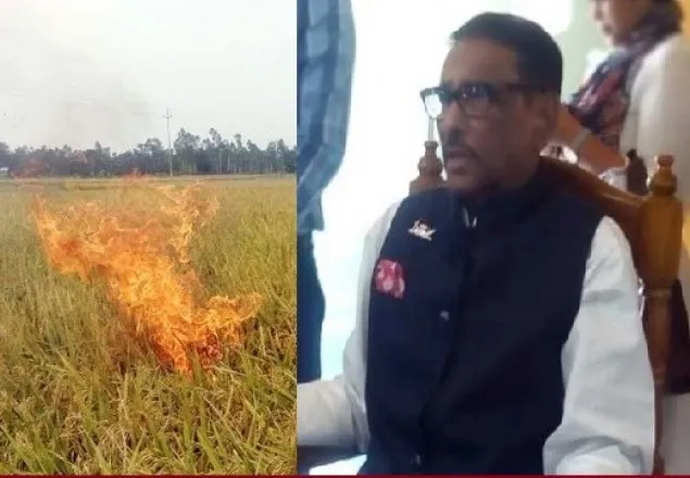 ধানক্ষেতে আগুনের ঘটনা তদন্তের নির্দেশ প্রধানমন্ত্রীর: কাদের