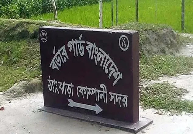 সীমান্ত থেকে বাংলাদেশিকে ধরে নিয়ে গেছে বিএসএফ