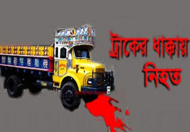 কুষ্টিয়ায় পৃথক ঘটনায় ট্রাপচাপায় নিহত ২