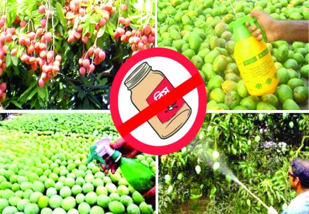 ফলে রাসায়নিক ব্যবহারকারীদের বিরুদ্ধে ব্যবস্থা নিতে হাইকোর্টের নির্দেশ