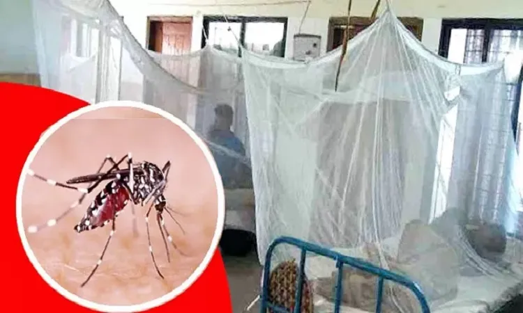 ডেঙ্গু আক্রান্ত হয়ে আরও ৪৬ জন হাসপাতালে