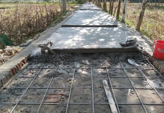 পাটগ্রামে এডিপি’র কাজে ব্যাপক অনিয়মের অভিযোগ