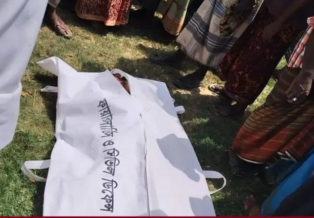গোবিন্দগঞ্জে সড়ক দুর্ঘটনায় ভ্যানযাত্রী নিহত 
