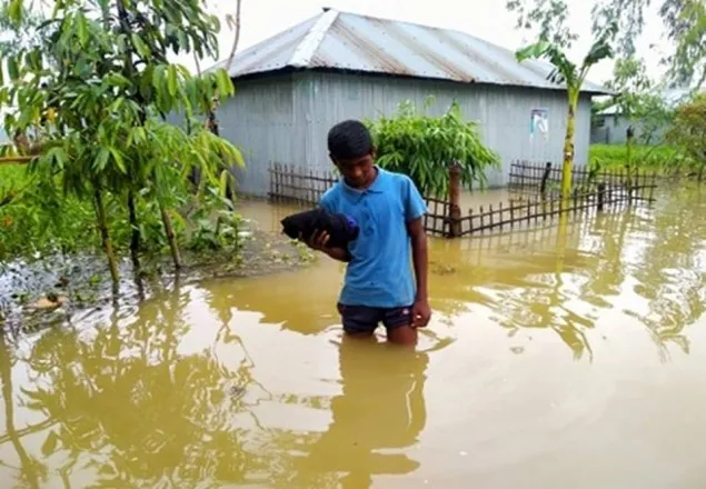 লালমনিরহাটে ৫ হাজার পরিবার পানি বন্দি