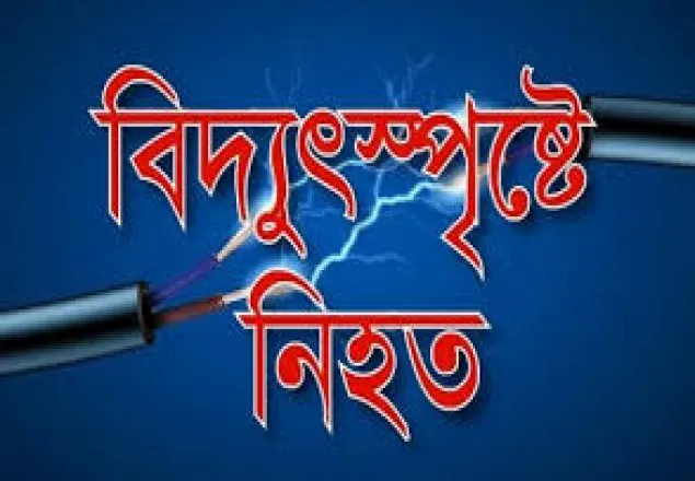 রাজধানীতে বিদ্যুৎস্পৃষ্টে শ্রমিকের মৃত্যু