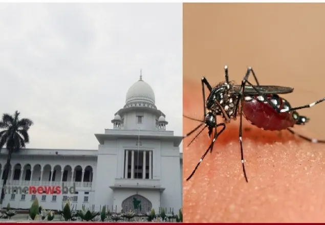 ২৪ ঘণ্টার মধ্যে এডিস মশা নির্মূলে পদক্ষেপ নেয়ার নির্দেশ