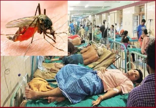 আগের সব রের্ক্ড ভেঙে বাড়ছে ডেঙ্গু রোগী