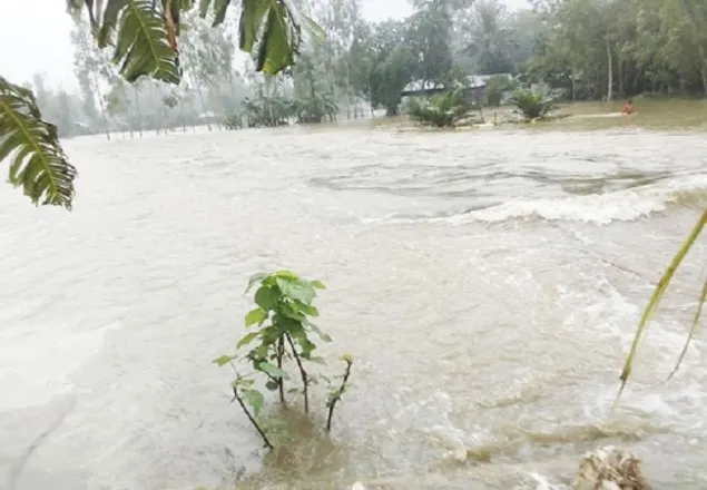 গাইবান্ধায় পানিবন্দি আড়াই লাখ মানুষ, নিহত ১