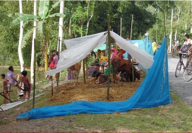 ভেঙ্গে গেছে স্যানিটেশন ব্যবস্থা, পশু-পাখি রোগে আক্রান্ত