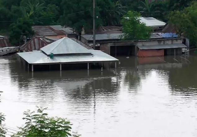 জামালপুরে বন্যার পানিতে ডুবে চারজনের মৃত্যু