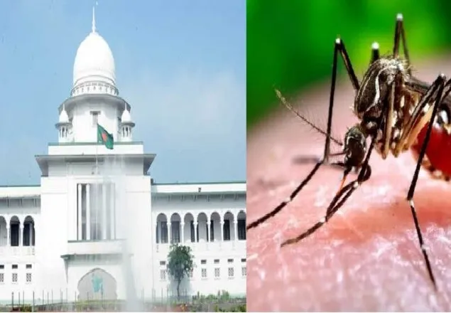ডেঙ্গু নিয়ে দুই সিটির স্বাস্থ্য কর্মকর্তাদের তলব