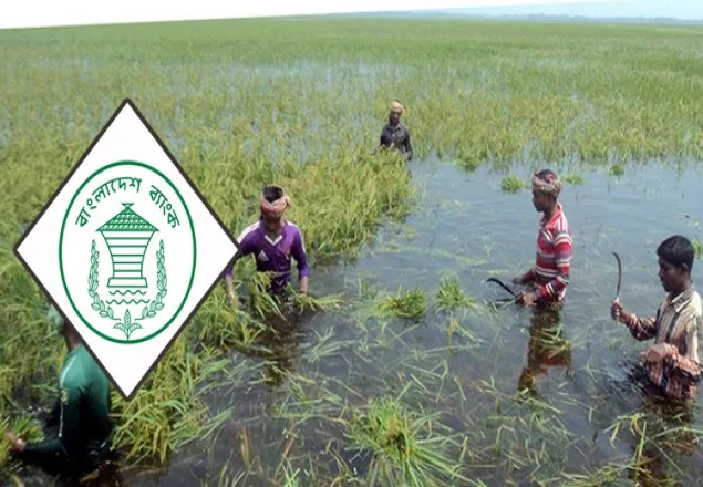 বন্যায় ক্ষতিগ্রস্ত এলাকায় কৃষি ঋণ আদায় বন্ধ রাখার নির্দেশ