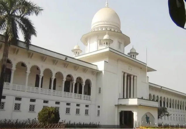 মশা মারতে এক সপ্তাহের মধ্যে নতুন ওষুধ আনতে হাইকোর্টের নির্দেশ