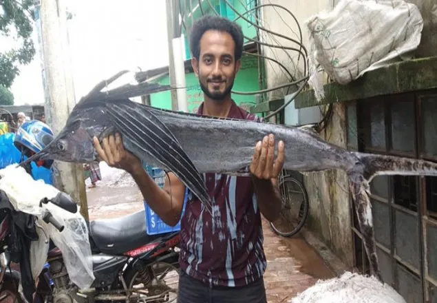 বাঙ্গপসাগরে জেলের জালে ধার পড়লে এ কেমন মাছ?