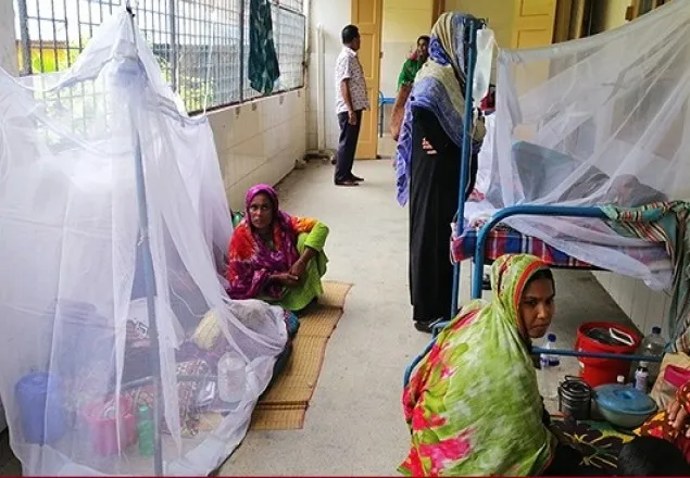 ডেঙ্গু আক্রান্ত ৬৩ জেলা, ২৪ ঘণ্টায় হাসপাতালে ১৩৩৫ 