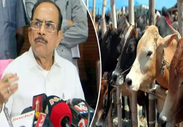 মুসলিমদের গরু কুরবানি দিতে নিষেধ করলেন মন্ত্রী!